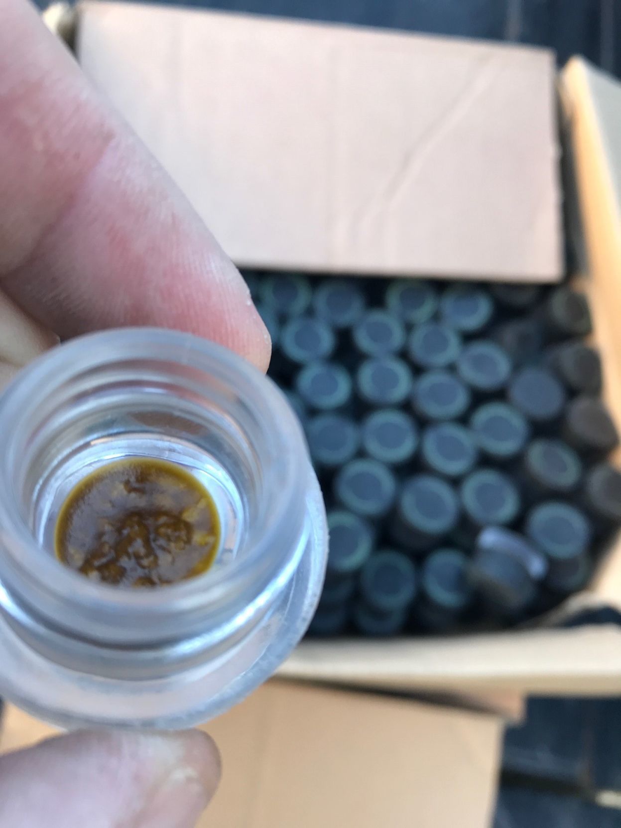 121619 Cebada Canyon Marijuana Seizure 2